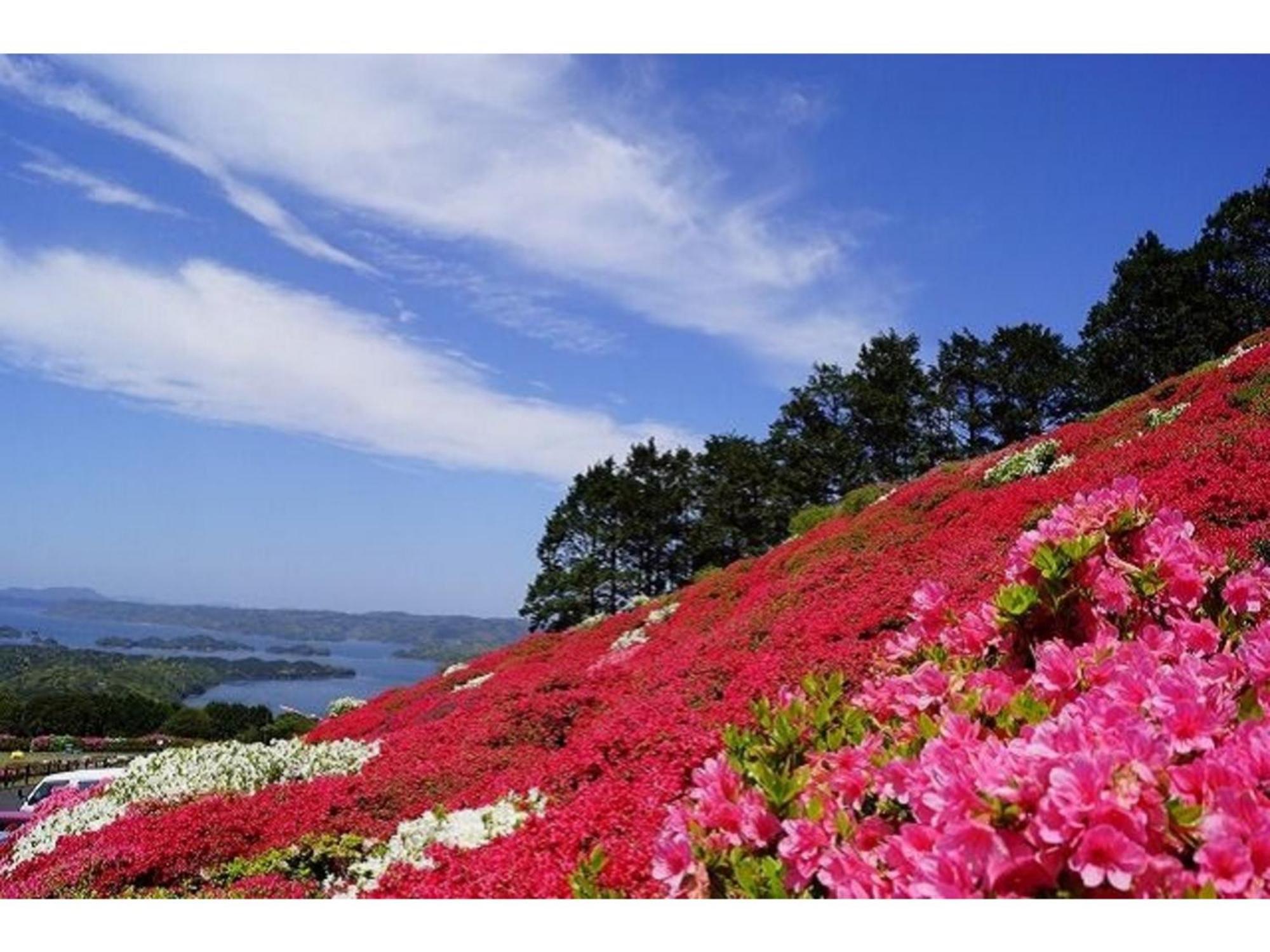 The Paradise Garden Sasebo Exteriér fotografie